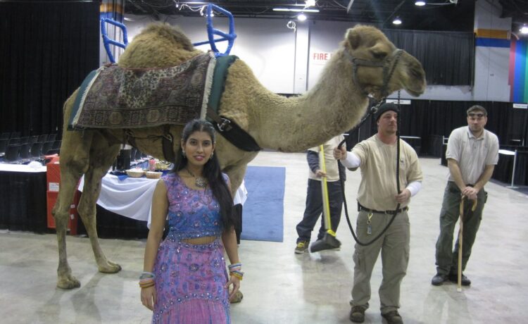 When I danced with a Camel!